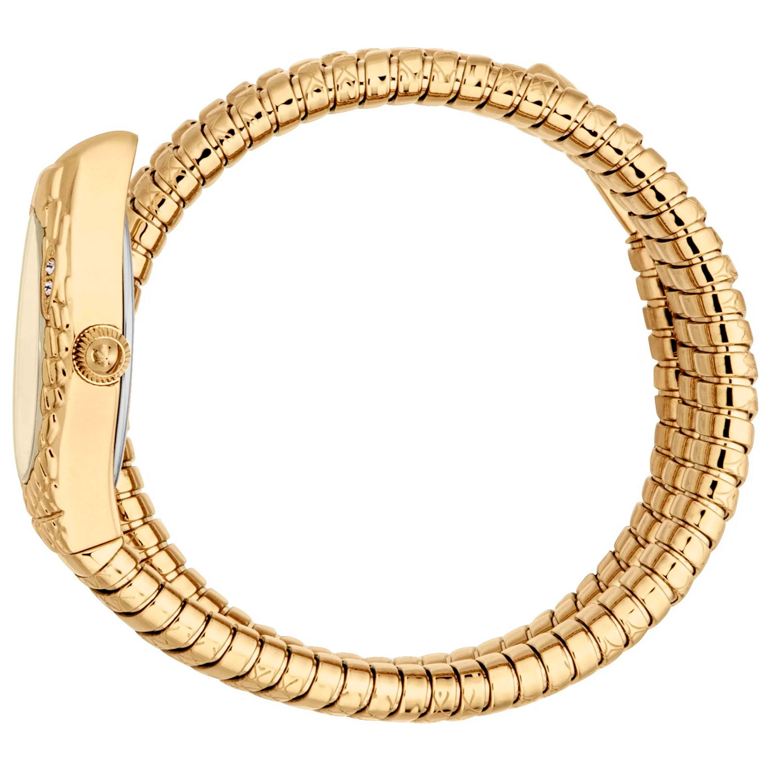 Just Cavalli JC1L374M0025